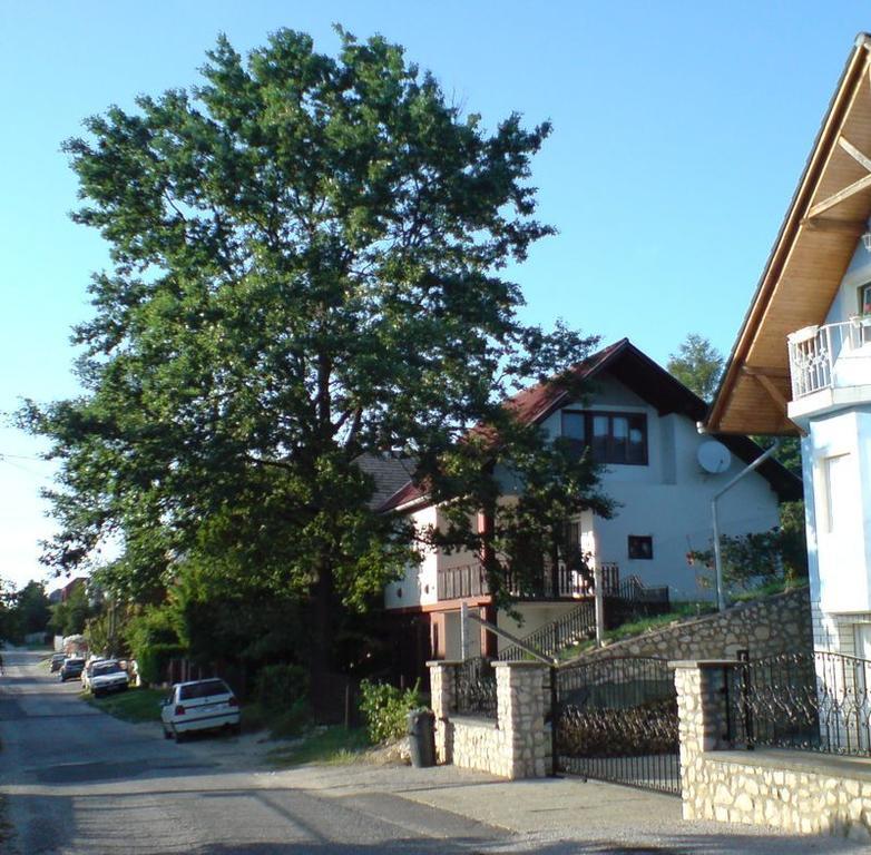 Budai Garden House Hévíz Habitación foto